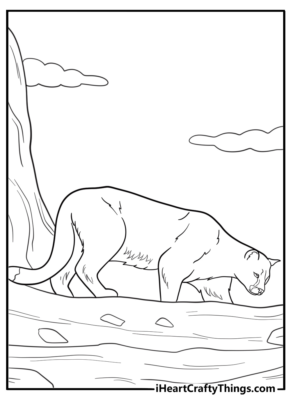 cougar walking along a canyon edge coloring page