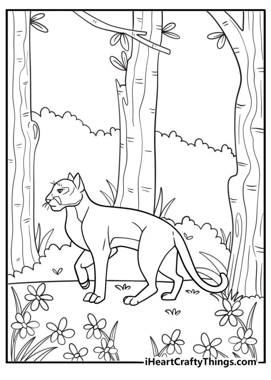 Cougar walking through the forest coloring page