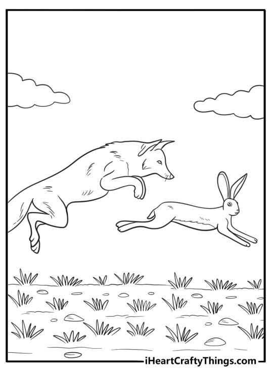Coyote chasing a rabbit coloring page