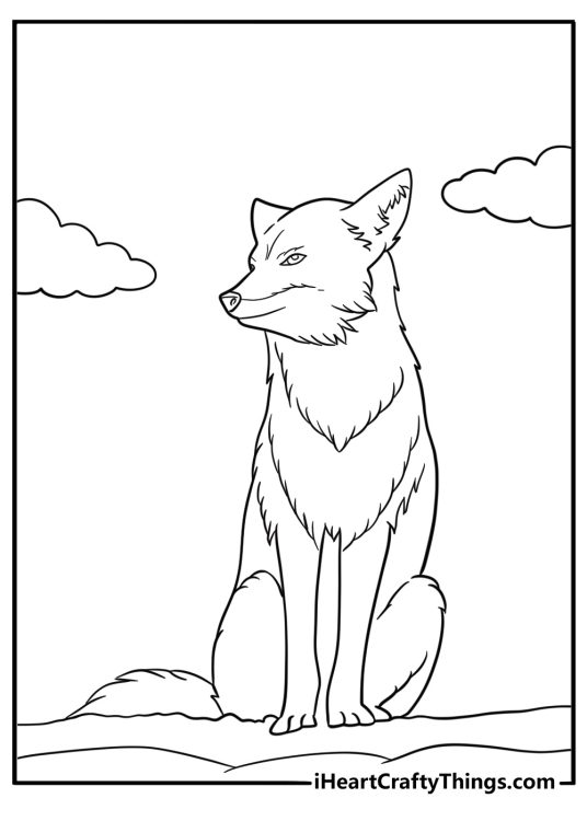 Coyote coloring pages