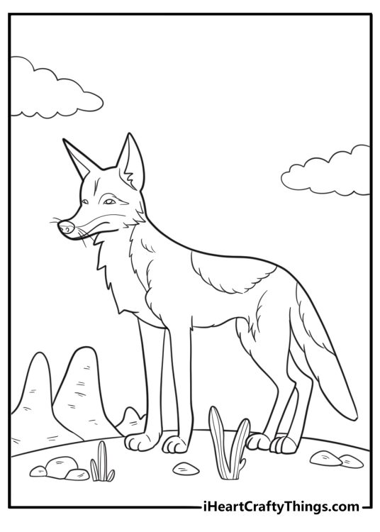 Coyote following scent trail in the dirt coloring sheet