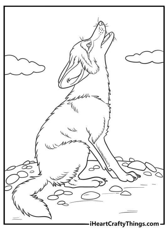 Coyote in a howling pose on a hill coloring sheet