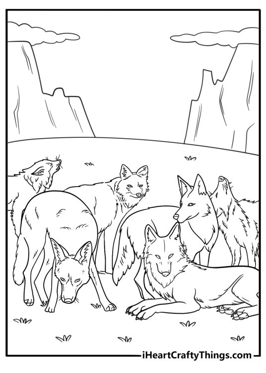 Coyote in a pack with other coyotes printable coloring sheet