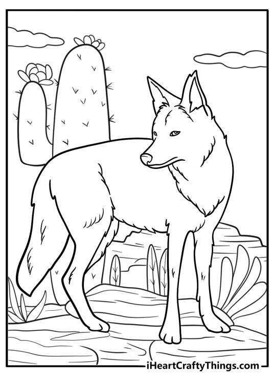 Coyote looking over shoulder in wild landscape printable sheet
