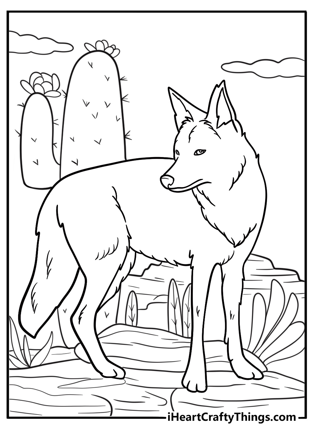 coyote looking over shoulder in wild landscape printable sheet