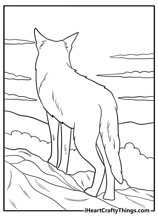 Coyote looking toward distant mountains coloring page