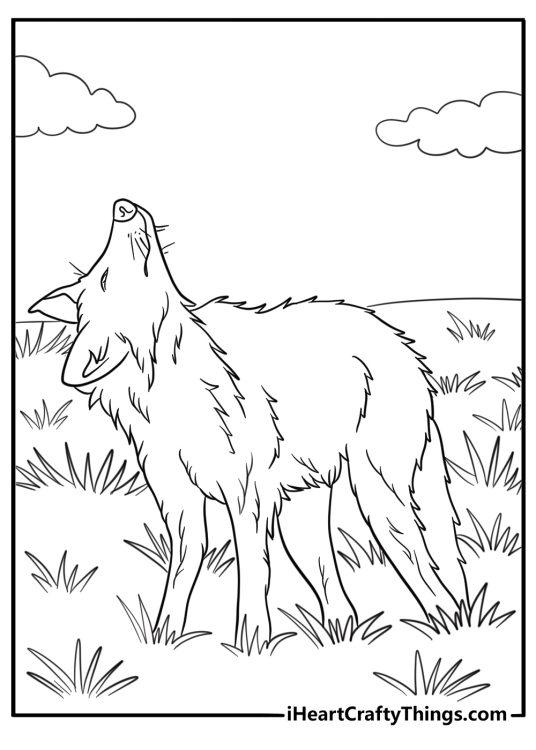 Coyote looking up at the sky free printable coloring page