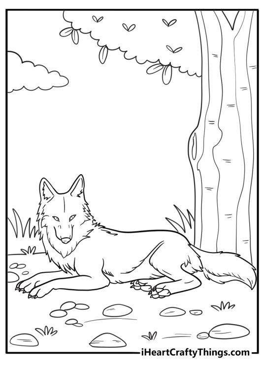 Coyote resting under a tree coloring sheet