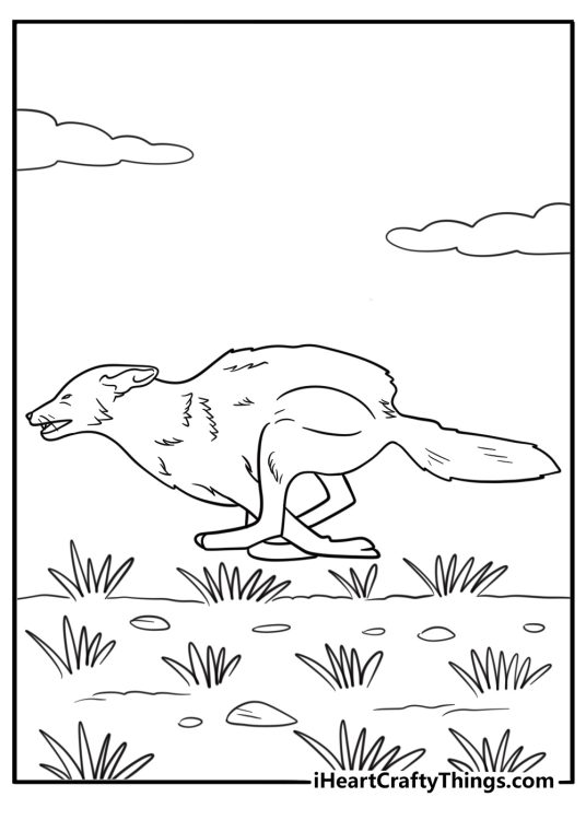 Coyote running through dry grassland free coloring page pdf