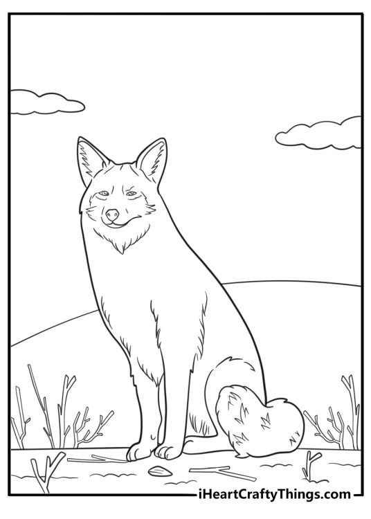 Coyote sitting near a dry bush coloring page
