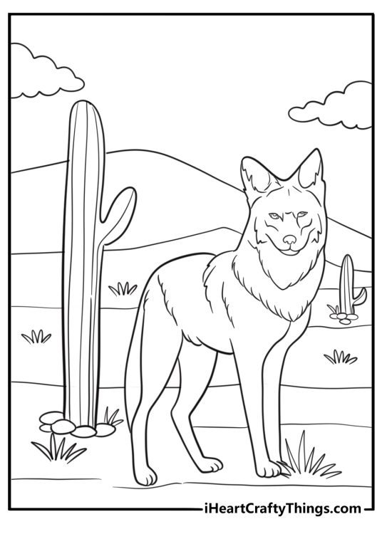 Coyote standing in the desert coloring page for kids