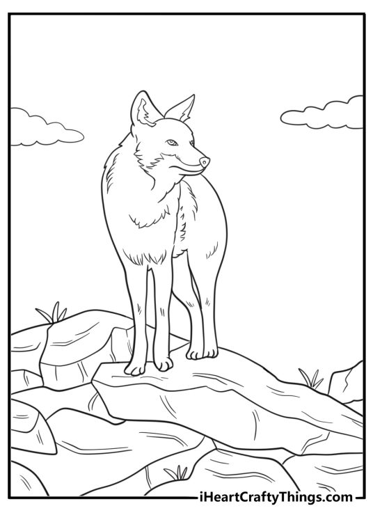 Coyote standing on a rock lookin around coloring sheet