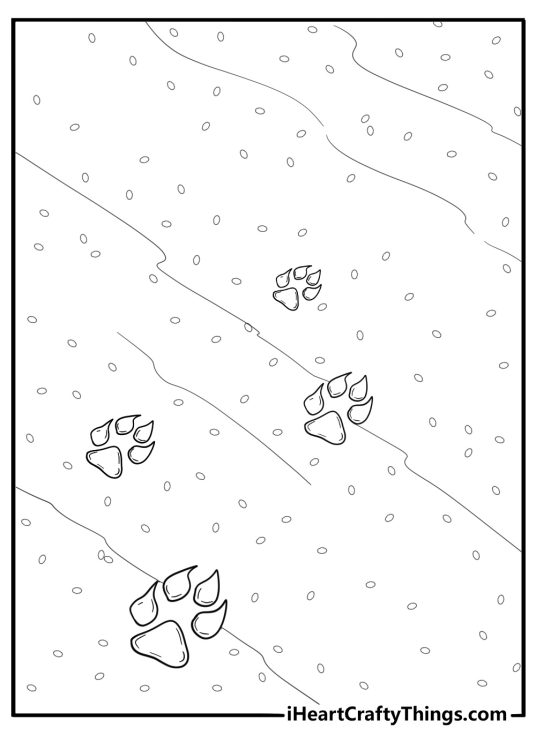 Coyote tracks in the sand printable coloring sheet