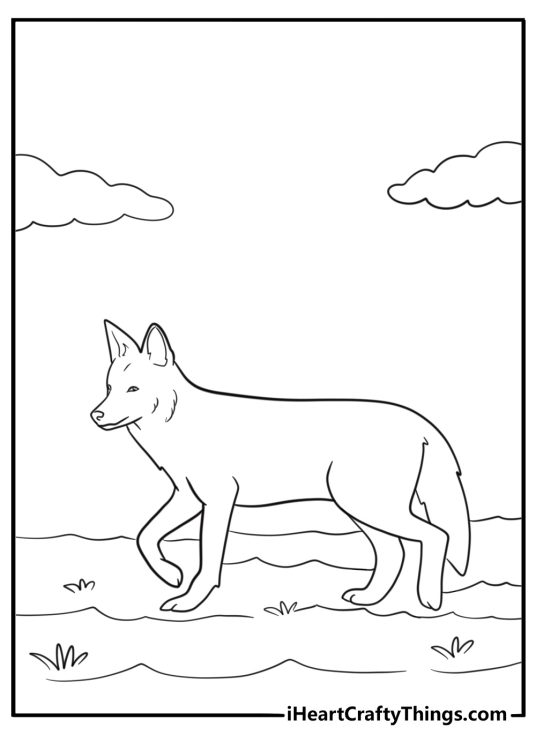 Coyote walking alone in open field coloring page