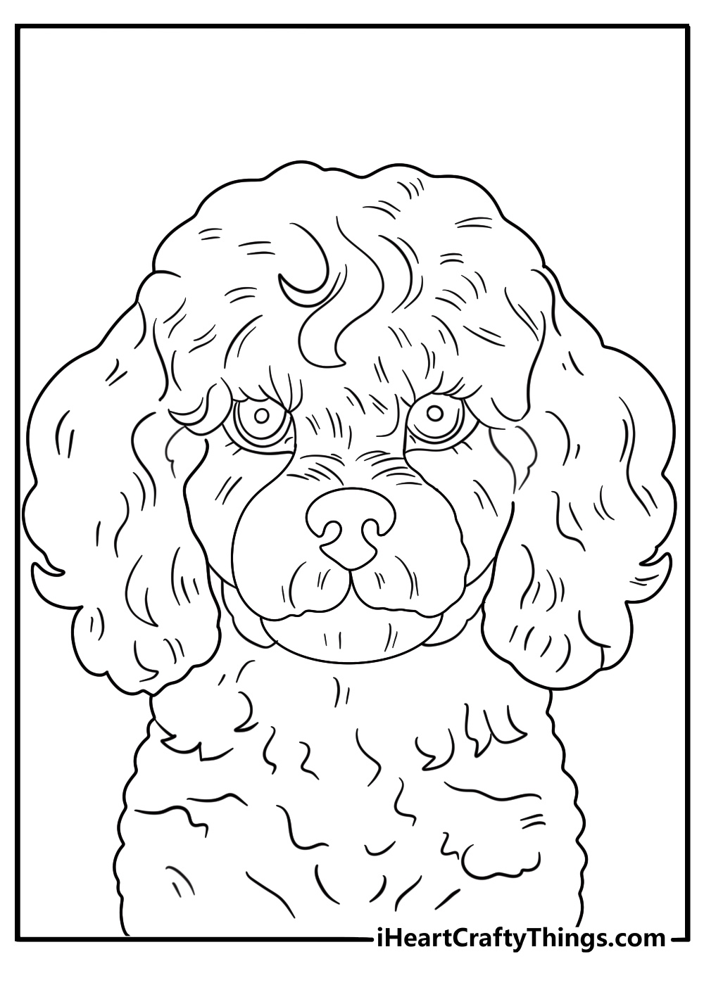 detailed poodle portrait head and curly fur for adults coloring printable