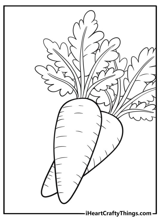Fresh carrot with green leaves detailed coloring sheet