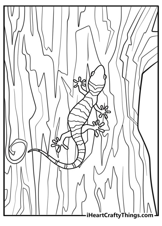 Gecko camouflaged against tree bark detailed coloring sheet