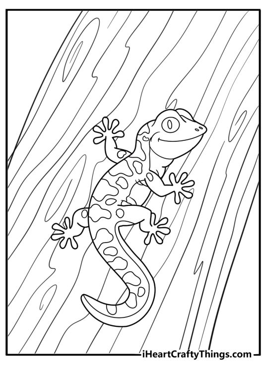 Gecko climbing a tree coloring page for kids
