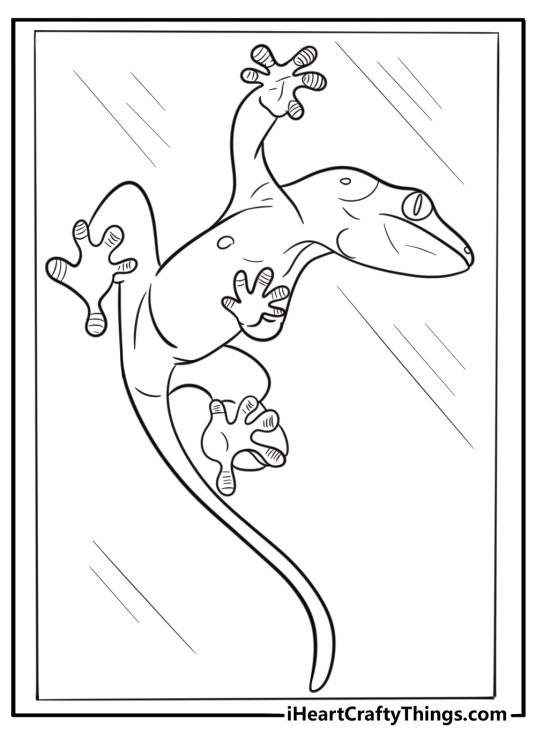 Gecko climbing glass with visible toe pads coloring sheet