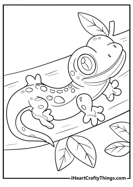 Gecko coloring pages
