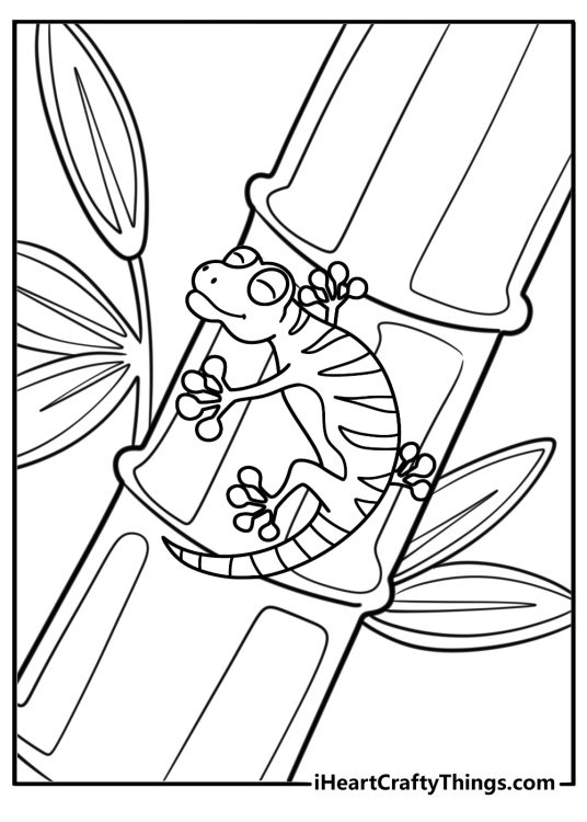 Gecko crawling on bamboo in tropical forest fun coloring sheet