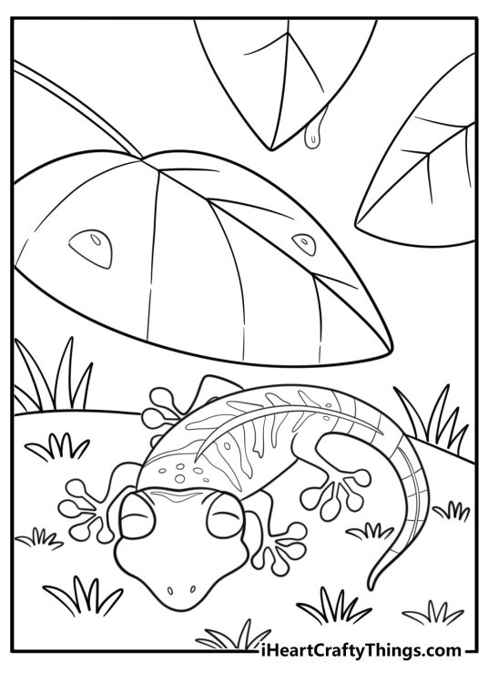 Gecko hiding under a leaf nature coloring page