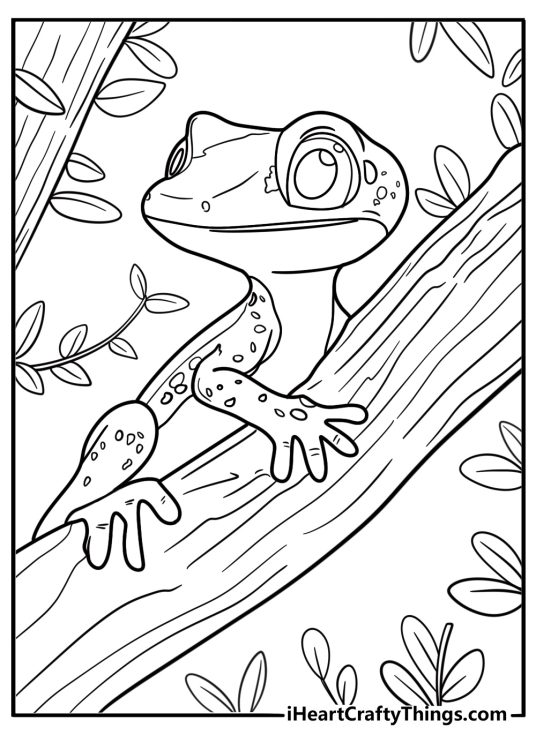 Gecko on a branch in the rainforest coloring page for kids