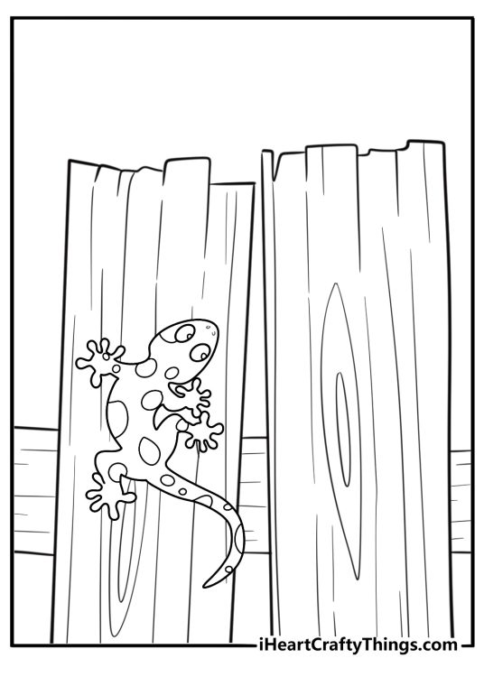 Gecko perched on a fence during the day detailed coloring sheet