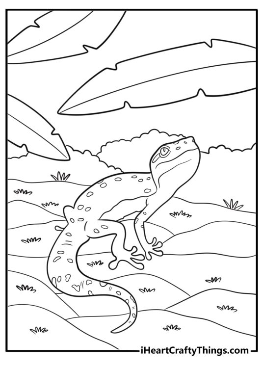 Gecko resting on a mossy surface in shade coloring sheet