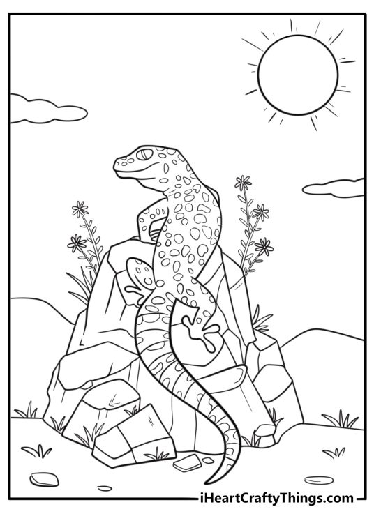 Gecko resting on a warm rock in sunlight coloring sheet