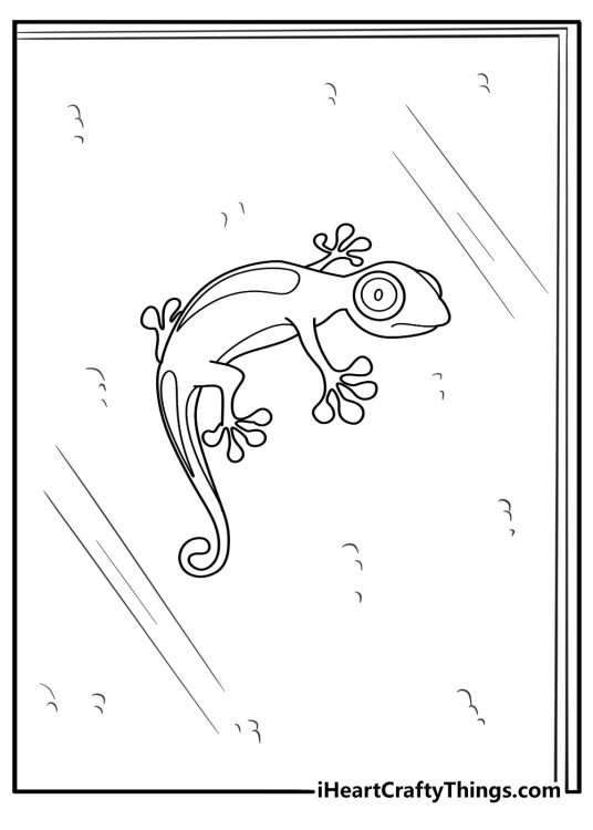 Gecko sticking to a ceiling with all four legs coloring sheet