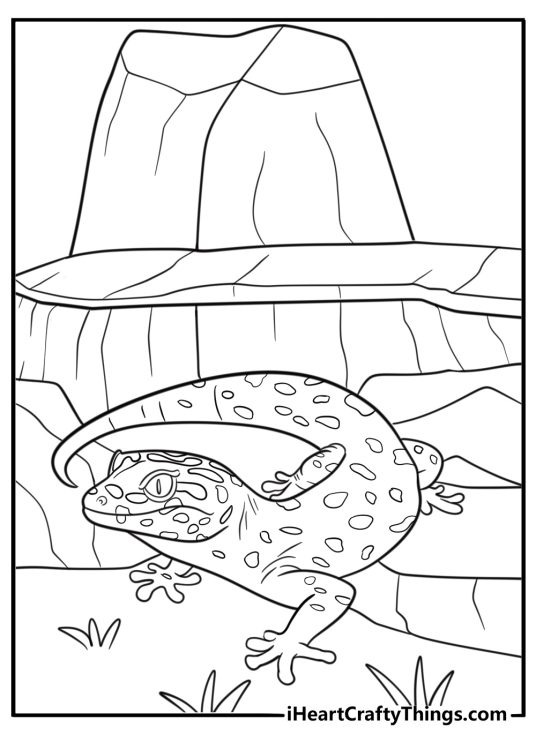 Gecko under a rock ledge in dry terrain printable coloring sheet