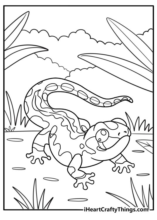 Gecko with camouflaged skin in the forest coloring sheet