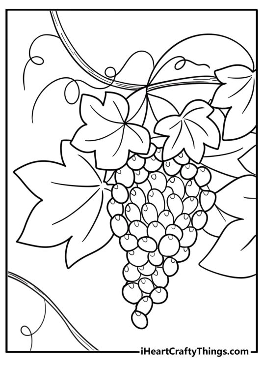 Grapes coloring page featuring green grapes on a branch
