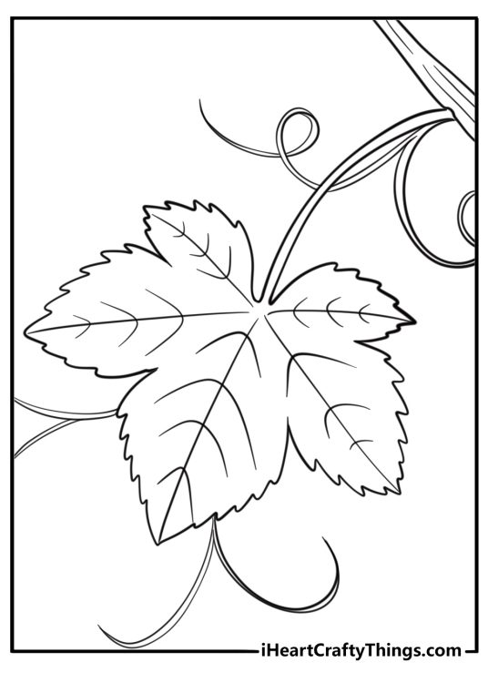 Grapes coloring page showing a single grape leaf and stem