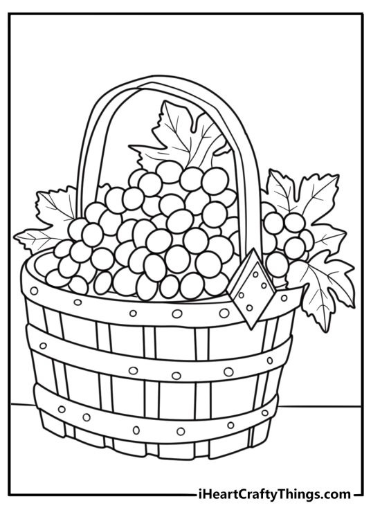 Grapes coloring page with a basket full of picked grapes