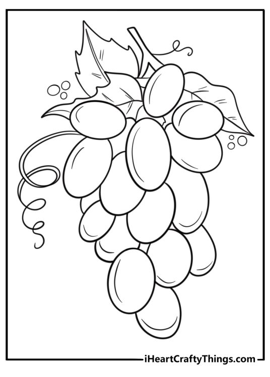 Grapes coloring page with detailed grape leaves and curling tendrils