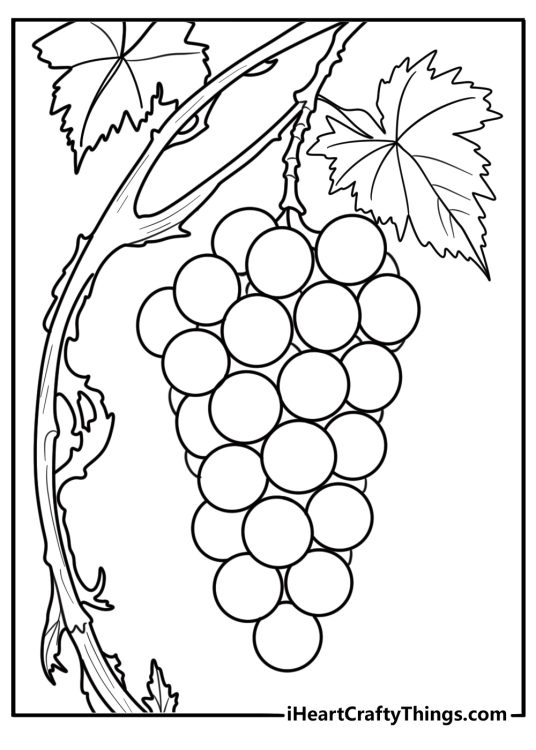 15 Grapes Coloring Pages