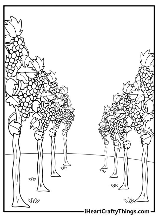 grapes growing in a vineyard landscape coloring page
