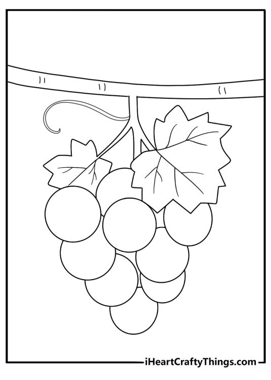 grapes hanging from a branch easy printable coloring page