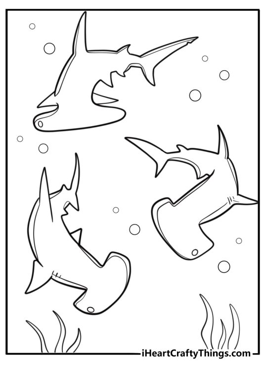 Group of hammerhead sharks swimming together coloring sheet