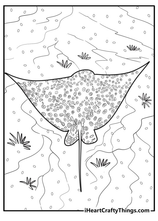 Group of stingrays moving through warm waters printable sheet