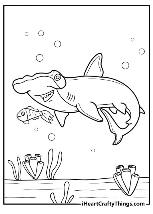 Hammerhead shark chasing prey underwater coloring sheet