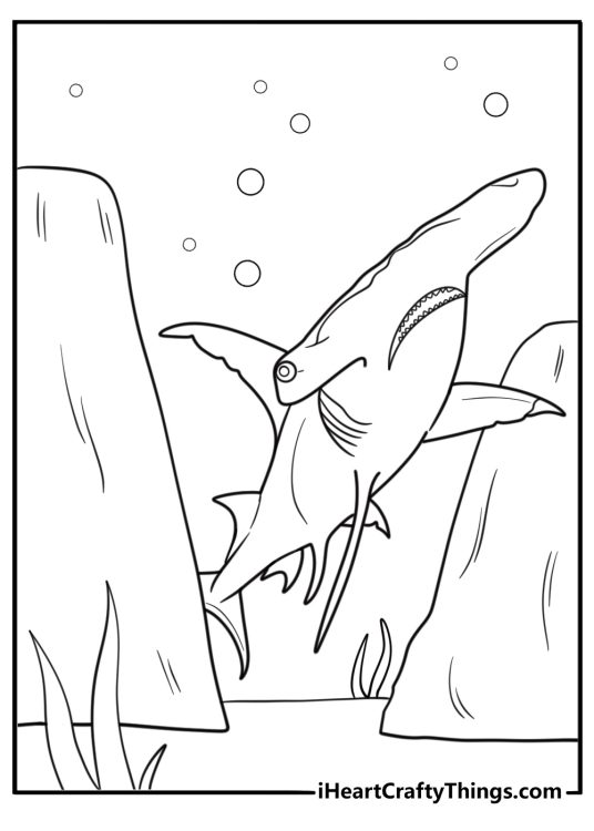 Hammerhead shark close to underwater rocks coloring sheet