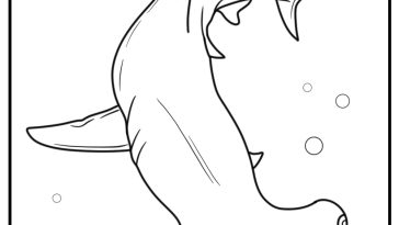 Hammerhead shark coloring pages