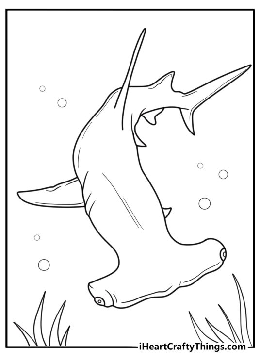 Hammerhead shark coloring pages