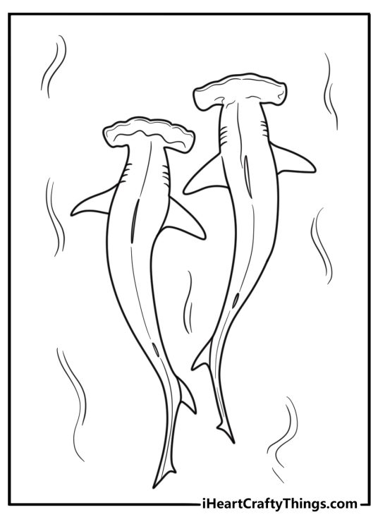 Hammerhead shark gliding through clear water coloring sheet