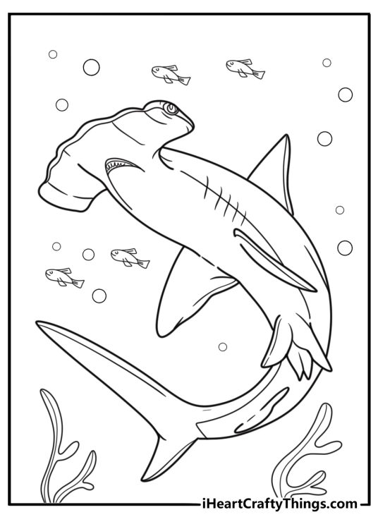 Hammerhead shark in a reef environment coloring page