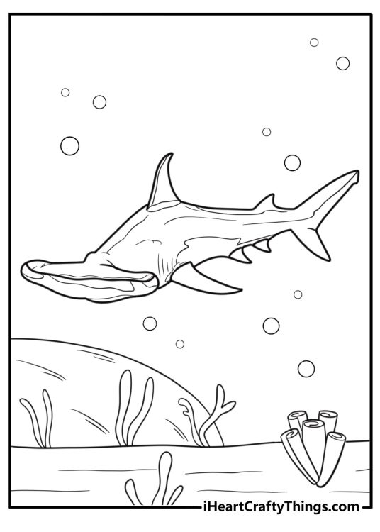 Hammerhead shark in shallow coastal waters coloring sheet