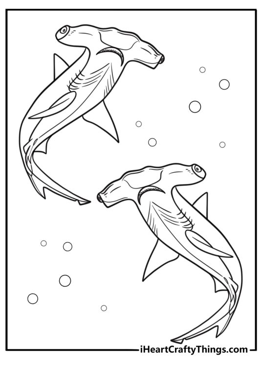Hammerhead shark in warm blue water coloring sheet